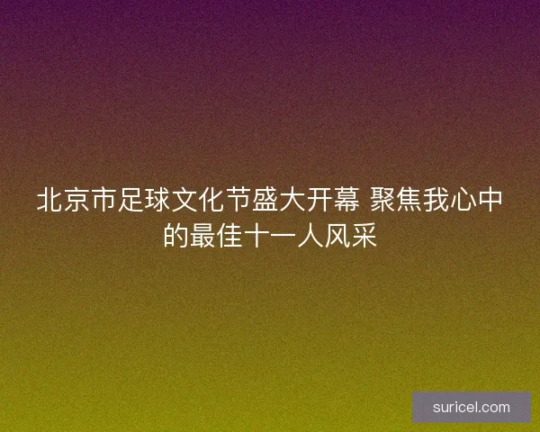 北京市足球文化节盛大开幕 聚焦我心中的最佳十一人风采